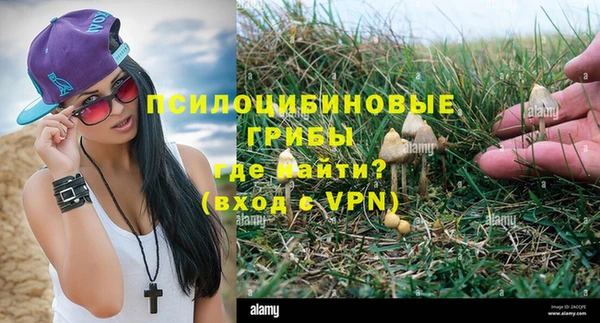 спайс Абинск