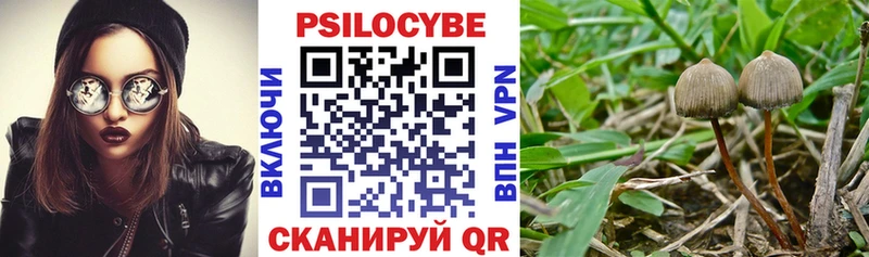 Псилоцибиновые грибы MAGIC MUSHROOMS  Слюдянка 